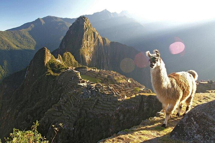 One Day Inca Trail Challenge to Machu Picchu with Lunch