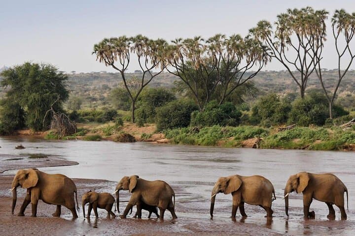 12 Day Cultural And Wilderness Experience in Kenya