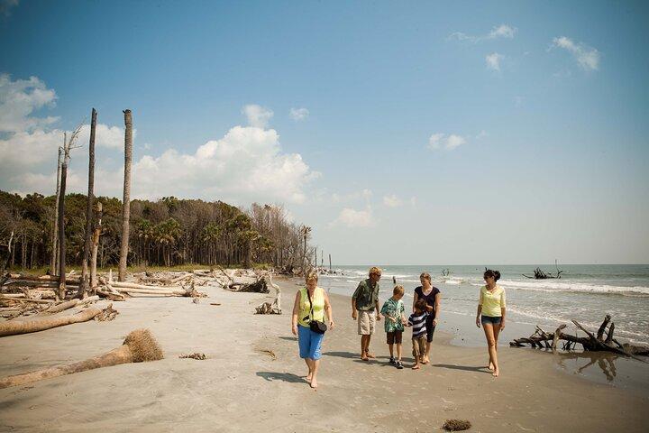 Capers Island Wildlife Exploration