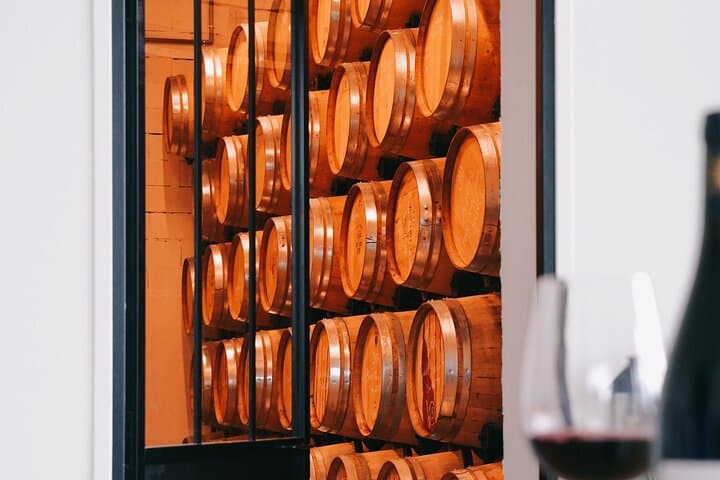 Vineyard tour and wine tasting in Davron