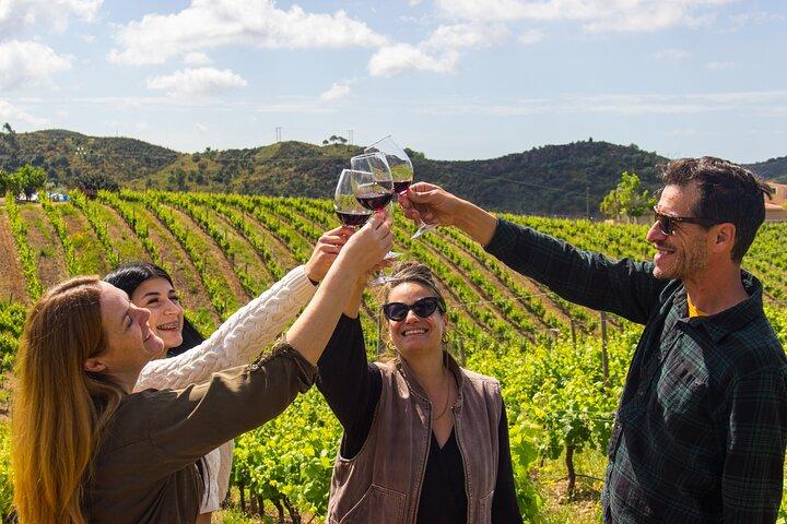 Albufeira Wine Tasting: Boutique Winery Tour & Historic Silves