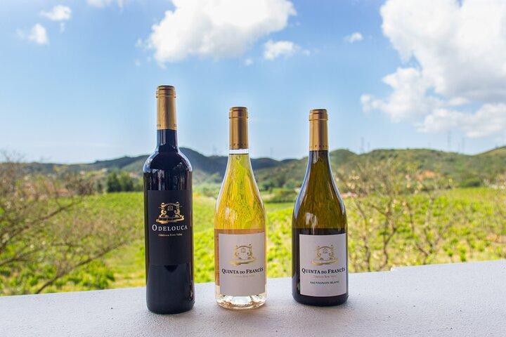 Albufeira Wine Tasting: Boutique Winery Tour & Historic Silves