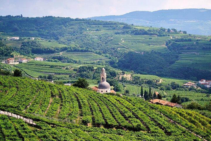 From Verona half day wine experience in Valpolicella and Amarone