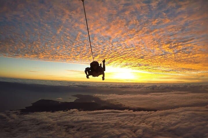 Cairns: Tandem Skydive Experience over Reef & Rainforest