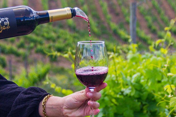 Albufeira Wine Tour: 2 Vineyards, 6 Tastings & Historic Silves
