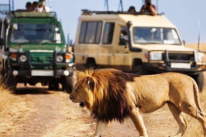 9 Days Wildlife and Scenic Safari