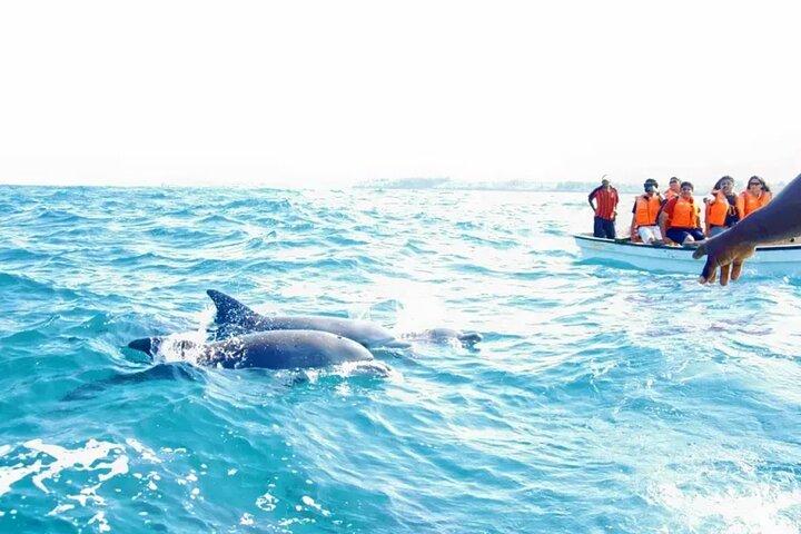 MIAMI: Key West Day Trip with Dolphin Spotting or Snorkel Boat