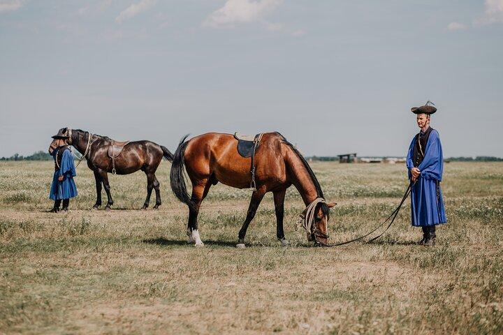 The "Puszta" Horse Show