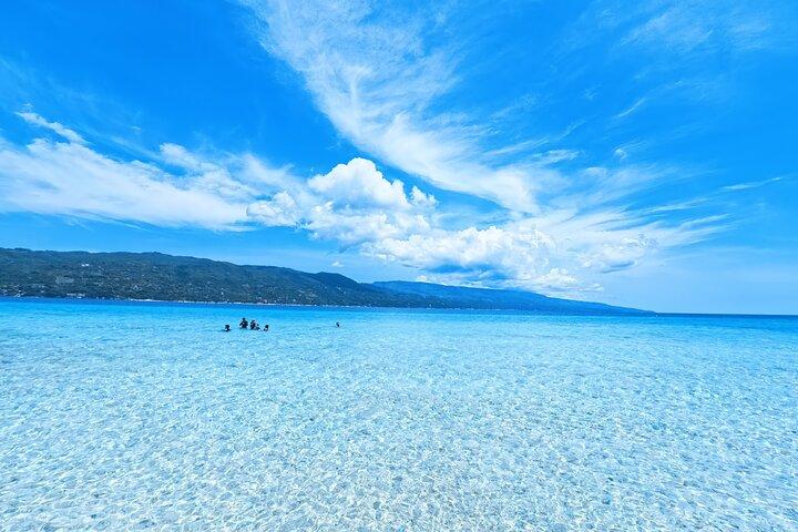 Oslob Whale Shark and Sumilon Island Snorkeling Tour with Lunch