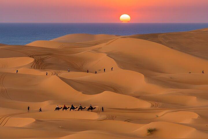 Timlalin Dunes Sandboarding Tour from Agadir & Taghazout