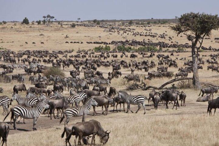 4 Day Ndutu Great Migration and Ngorongoro Adventure
