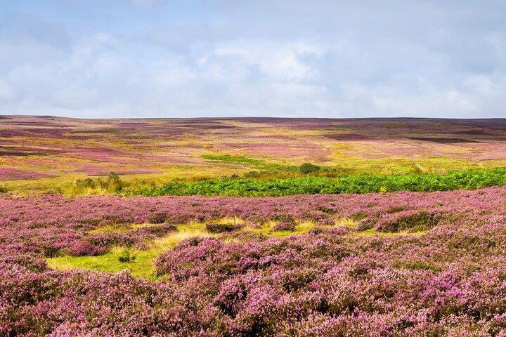 Afternoon Tour North York Moors National Park