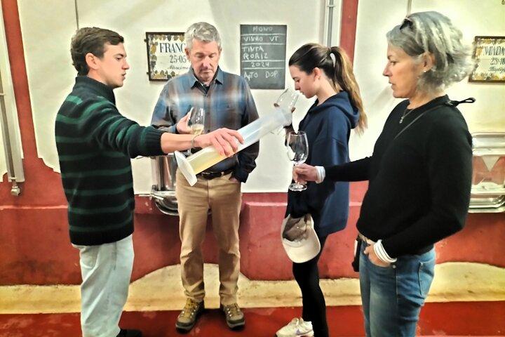 Óbidos, Nazaré and Wineries, Day Private Tour by SUV from Lisbon