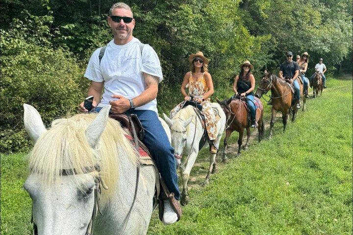 45 Minute Scenic Horseback Trail Ride