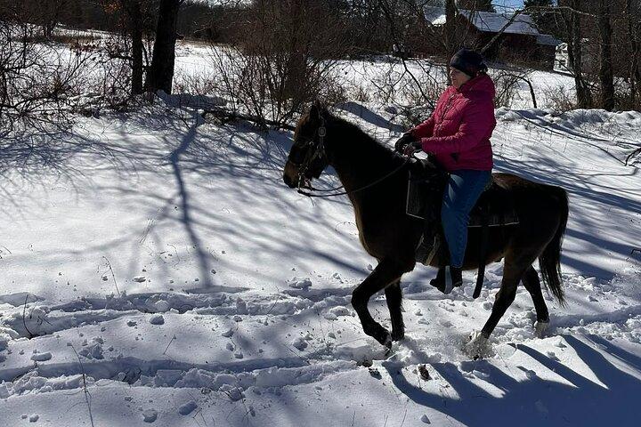 45 Minute Scenic Horseback Trail Ride