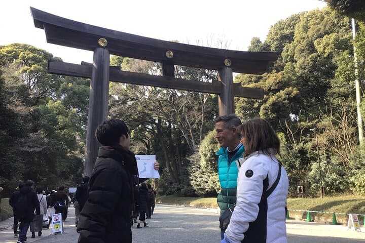 Tokyo: Meiji Jingu Cultural Walking Tour with Japanese Historian