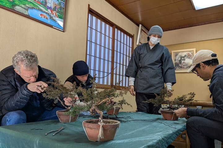 Make Your Own Bonsai with a Professional Bonsai Artist in Tokyo