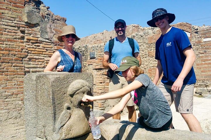 Private Pompeii and Vesuvius with Wine Tasting and Full Tickets
