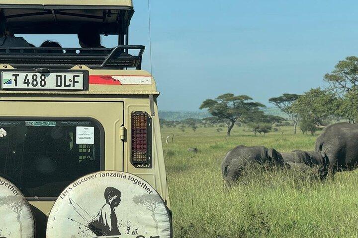 4 Day Tanzania Safari Tarangire Serengeti and Ngorongoro Crater