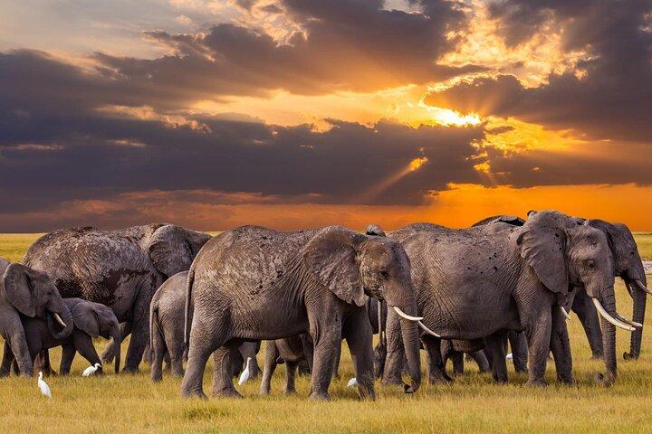 5 Multi‑Day Flyin Safari To Tanzania Major Parks With Cultural