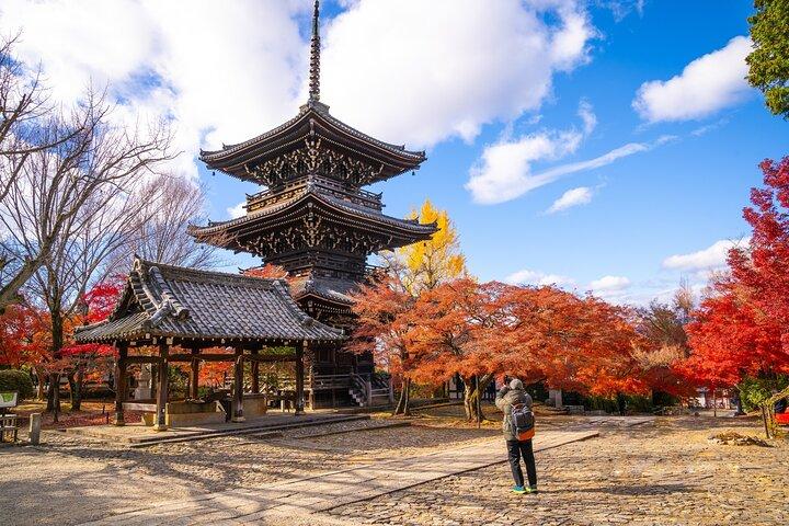 Kyoto Half Day Small Group Tour