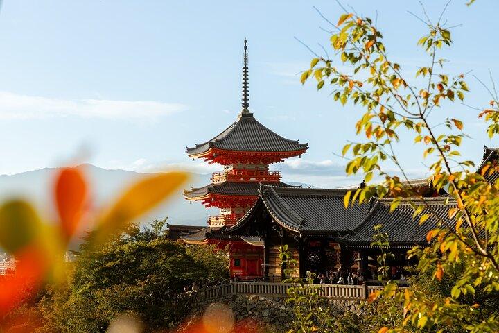 Best of Kyoto Half Day Small Group Tour from Osaka
