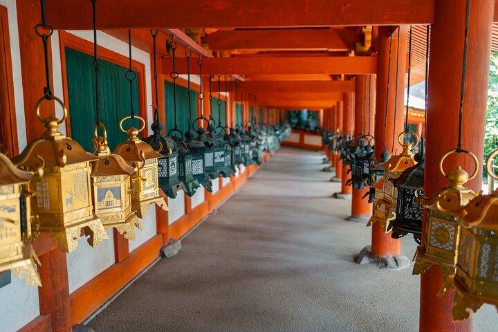Nara Half Day Small Group Tour from Kyoto