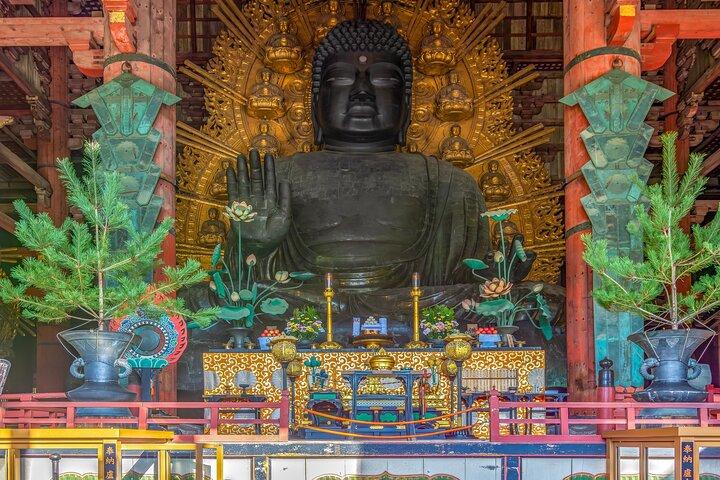 Nara Half Day Small Group Tour from Kyoto