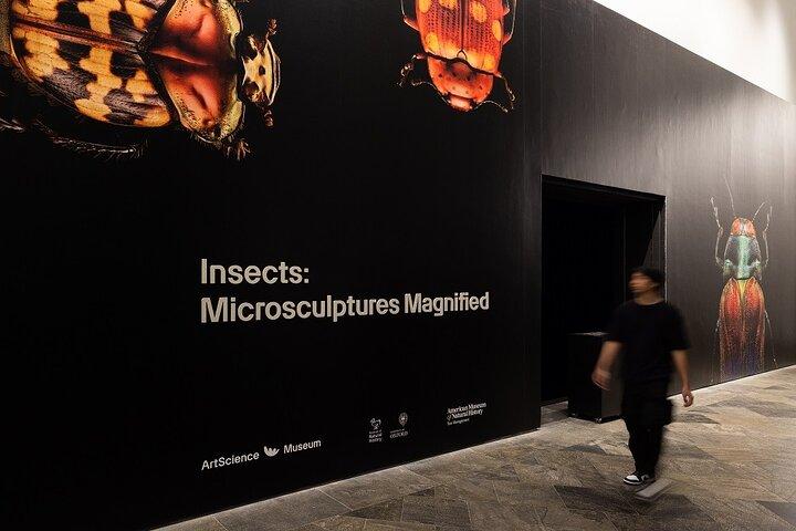 Singapore ArtScience Museum Admission Ticket