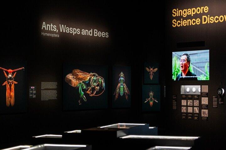 Singapore ArtScience Museum Admission Ticket