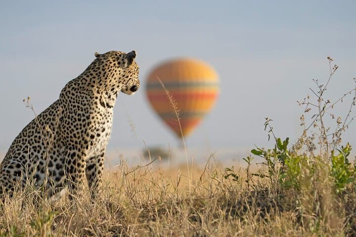 3-Day Maasai Mara Safari from Nairobi with Big Five Game Drives