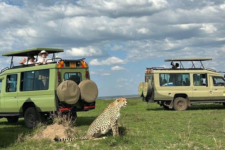 3-Day Maasai Mara Safari from Nairobi with Big Five Game Drives