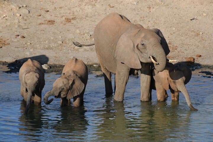 10 Day Safari plus Diani Beach