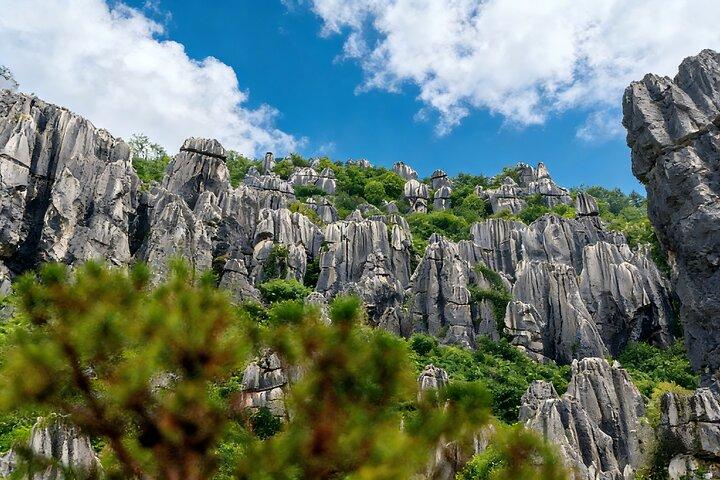 Private Tour of Stone Forest Geological Park in Kunming