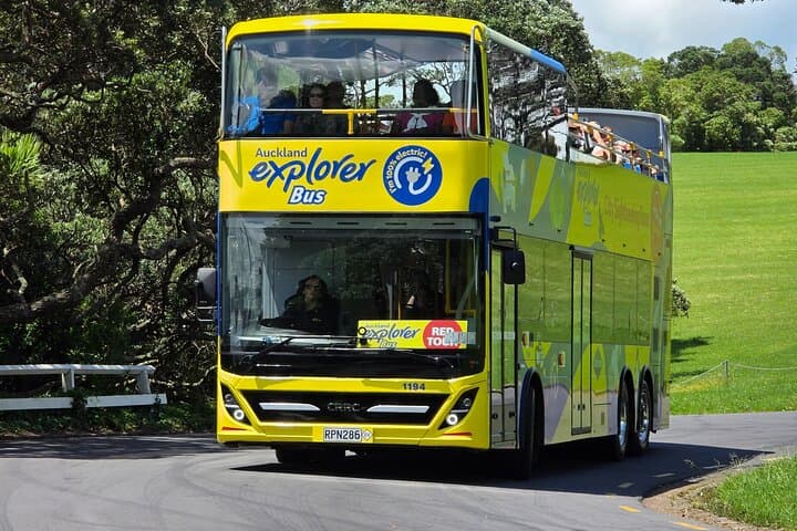 Auckland Explorer: Sightseeing Hop-on Hop-off Tour