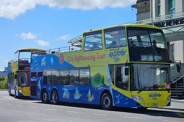 Auckland Explorer: Sightseeing Hop-on Hop-off Tour
