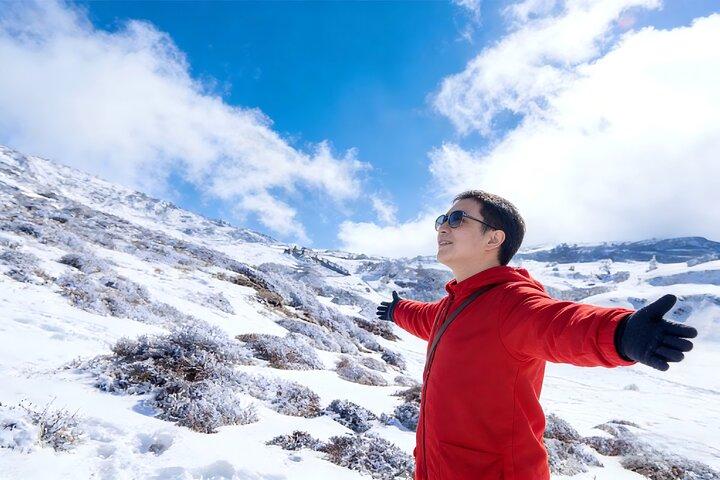 Kunming Private Day Tour to Jiaozi Snow Mountain including Lunch and Cable Car