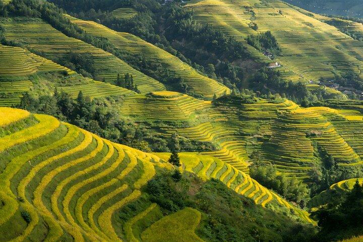 2-Day Private Photography Tour to Yuanyang Rice Terrace from Kunming