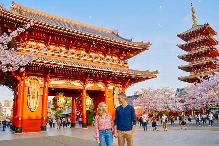 Private Curated Tour | Get Tokyo’s Must Sees & Unique Insights
