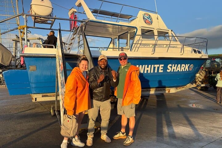 Shark Cage Diving Adventure in Gansbaai