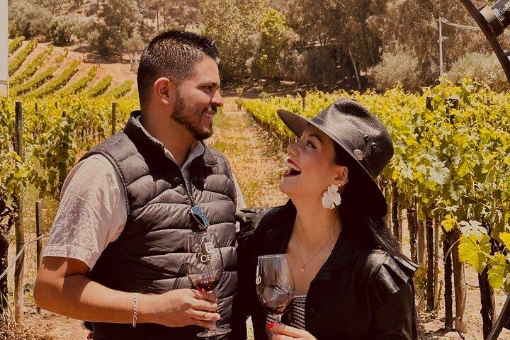 Valle de Guadalupe Couples Wine Tour