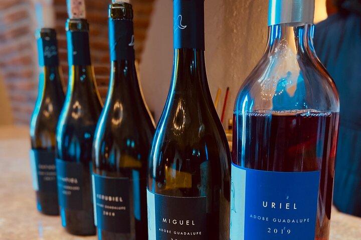 Valle de Guadalupe Couples Wine Tour