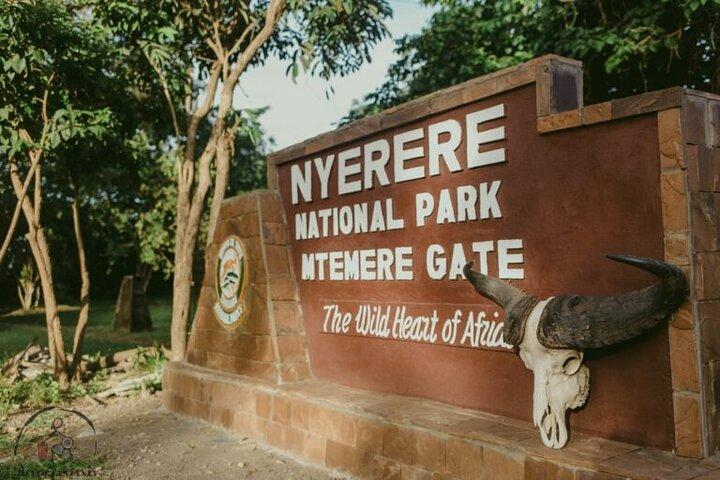 Day Trip to Selous Nyerere National Park Flying from Zanzibar