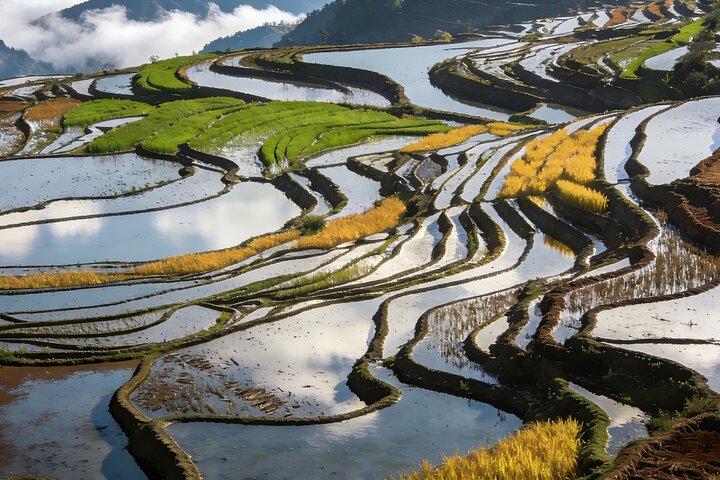 3-Day Private Tour to Jianshui and Yuanyang Hani Rice Terraces from Kunming