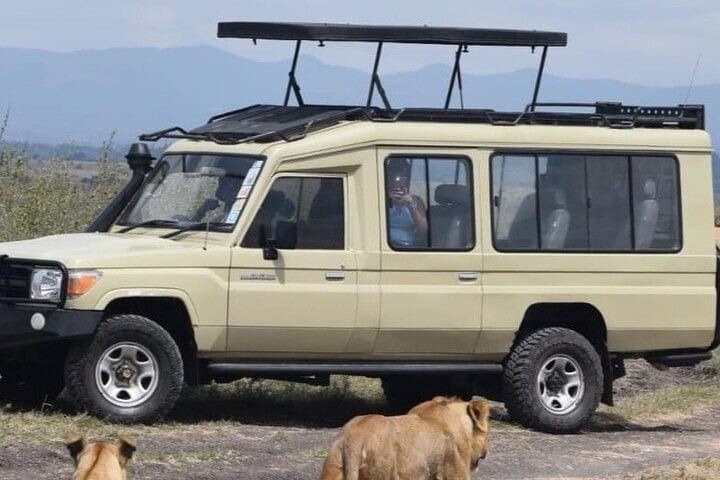 6 Days Tour in Amboseli, L. Nakuru and Masai Mara