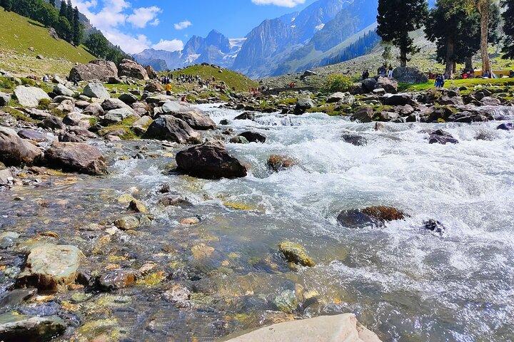 Sonamarg Day Tour to Meadows Glaciers Rivers and Valleys