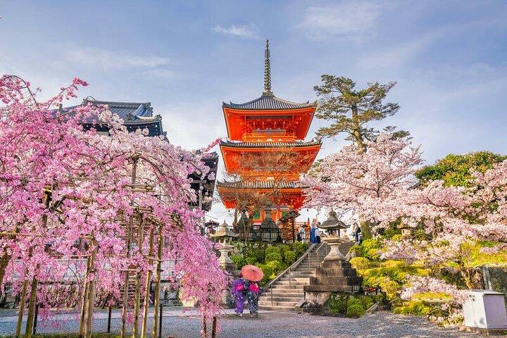 Kyoto & Nara: Private Day Tour by luxury Vehicle & English Guide