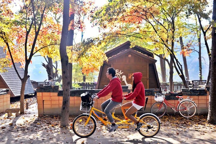 Korea's Best Nami Island & Garden of Morning Calm Trip from Seoul