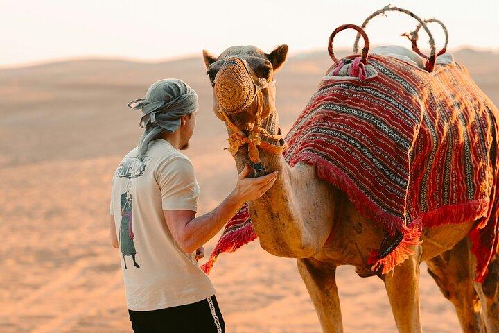 Arabian Adventure Thrilling Desert Safari