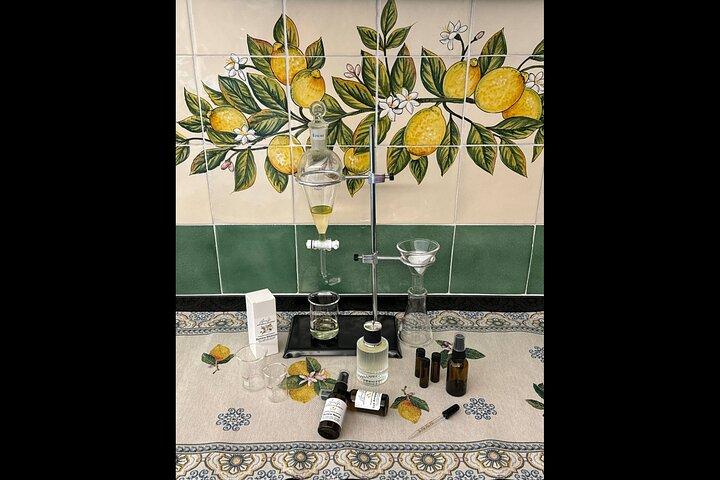 Amalfi: Organic Lemon Tour + Limoncello + Honey + Wine Tastings
